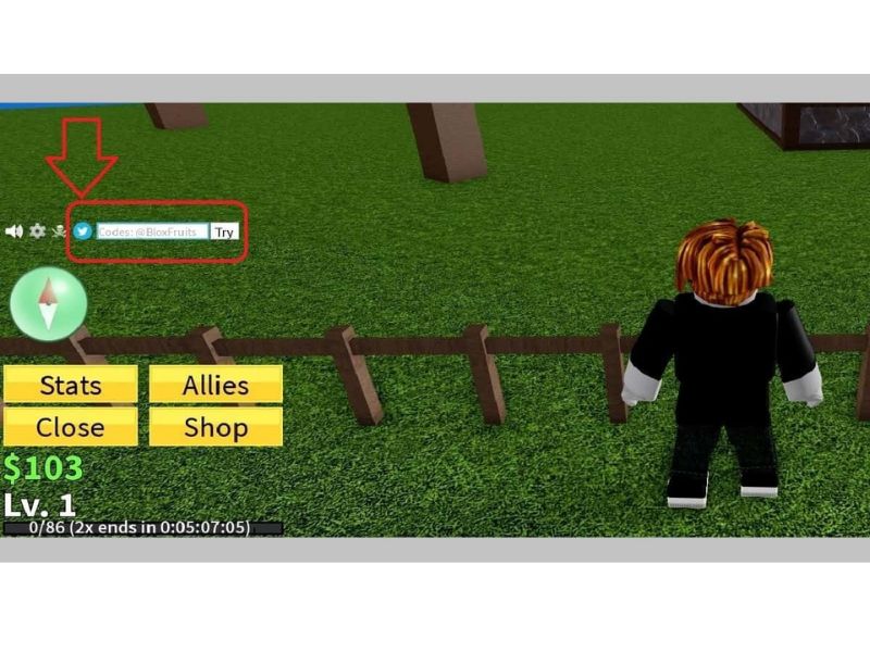 Bước 3: Nhập code vào ô trống và nhấn Enter.