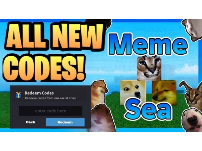 Giới Thiệu Về Code Meme Sea