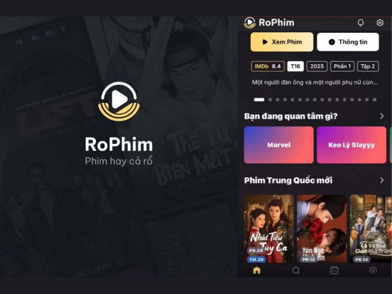 Danh Mục Phim Phong Phú Trong RoPhim APK 