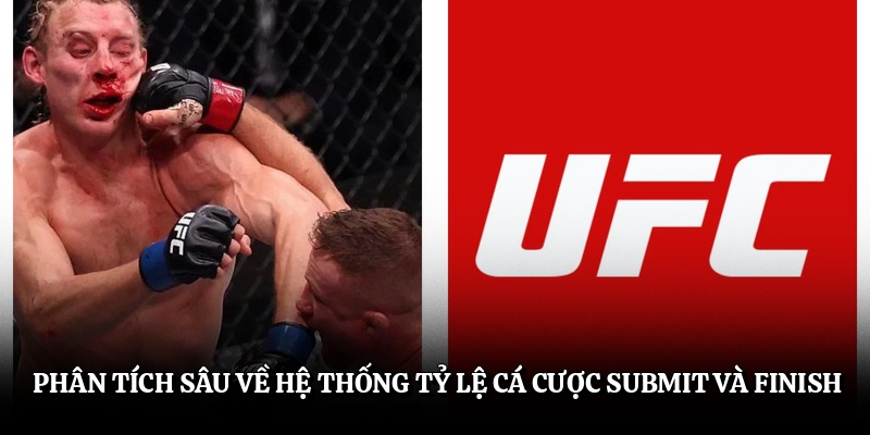 Phân tích sâu về hệ thống tỷ lệ cá cược submit và finish