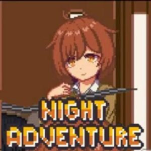 Night Adventure Mod APK