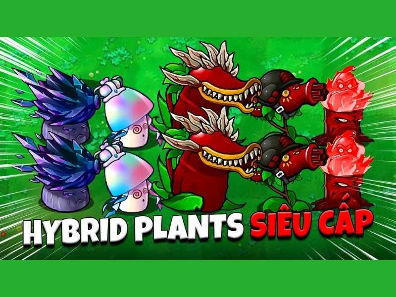 Tổng Quan Về Game PVZ Hybrid Hack