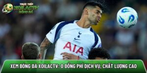 Xem bóng đá xoilactvv.co: 0 đồng phí dịch vụ, chất lượng cao