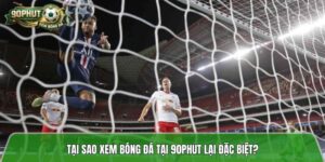 90phuttv.futbol: Địa chỉ xem bóng đá 90phut uy tín nhất 2026