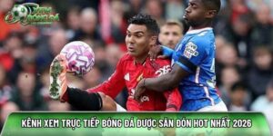 Xembongda.co.com: Kênh xem trực tiếp bóng đá hot nhất 2026