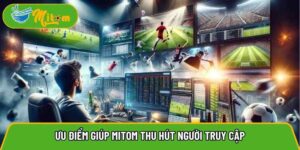 Mitomtvttbd.net – Trải nghiệm xem bóng đá trực tuyến sắc nét