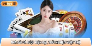 Vsbettt.eu.com - Nhà cái cá cược hiện đại, trải nghiệm vượt trội