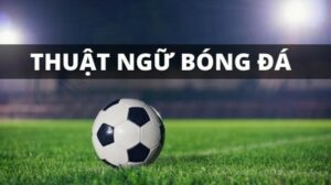 Đánh giá tính minh bạch và tốc độ xử lý luồng số tại Top 10 Nhà Cái Uy Tín
