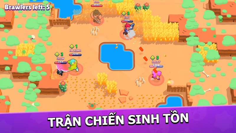 Mở Brawler qua nhiều hướng phát triển