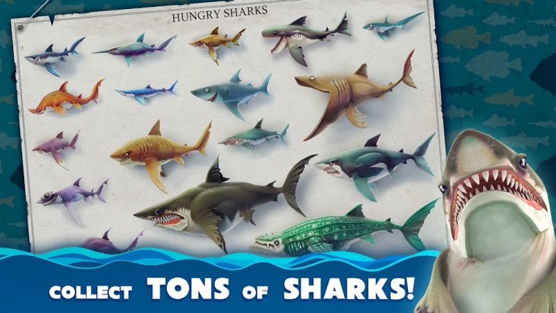 Hack Hungry Shark World